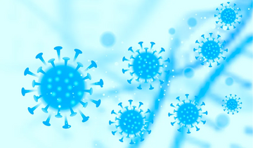 Importance of Toxin-Free Products